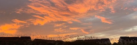 Read This Book, Y'all banner