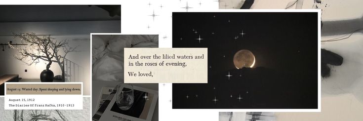 aucrorxa's profile banner image