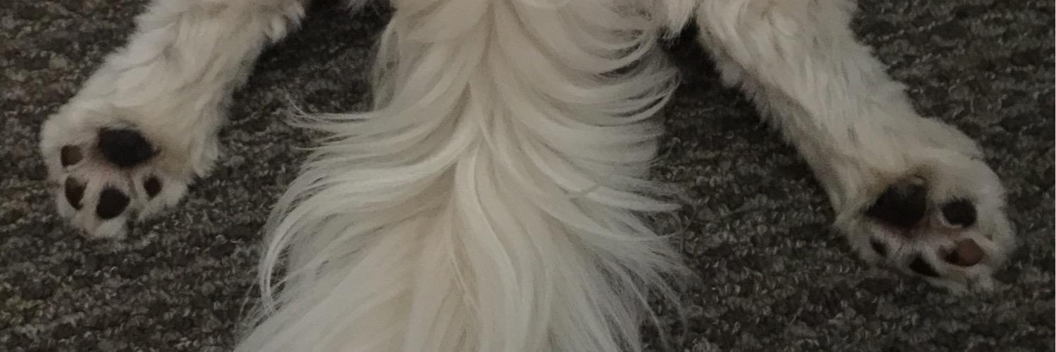 Huzobinde's profile banner image