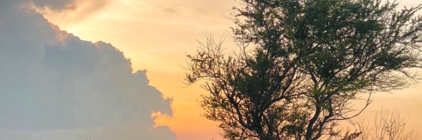 remiida's profile banner image