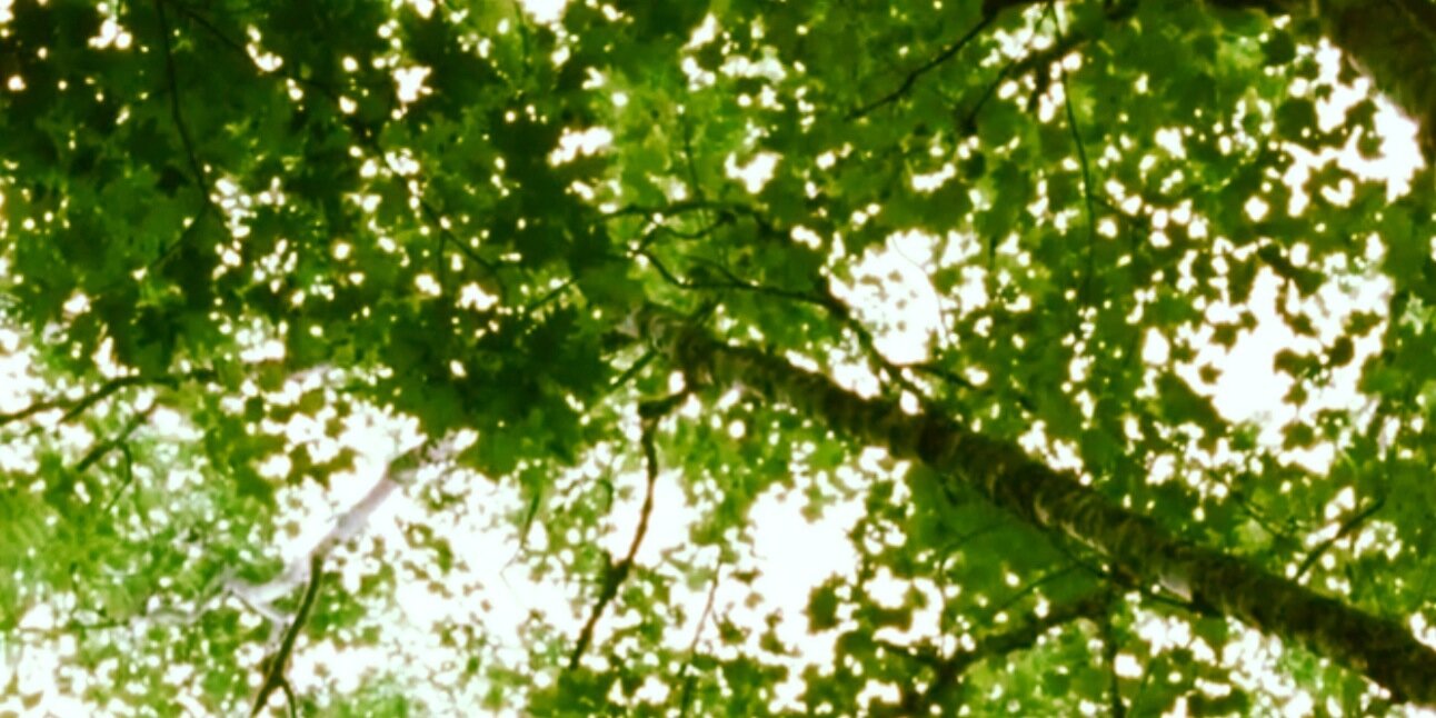 gdlJour101's profile banner image
