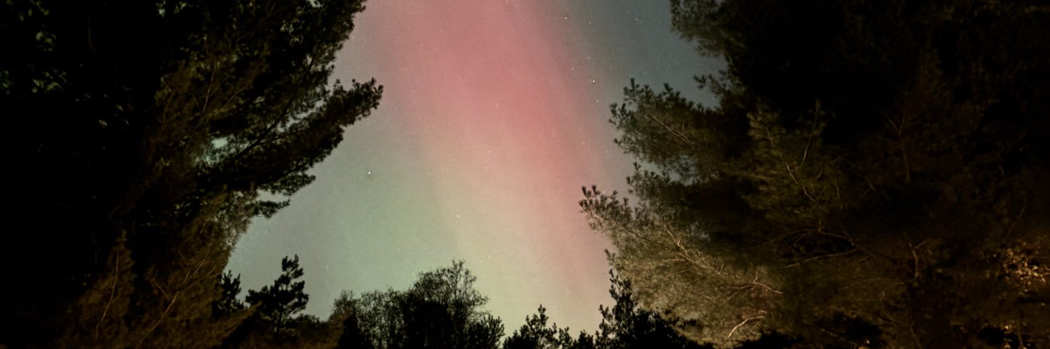 Berlee (she/her) 🇨🇦 banner