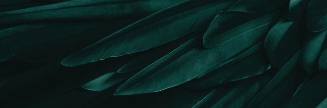 Mellekeh's profile banner image