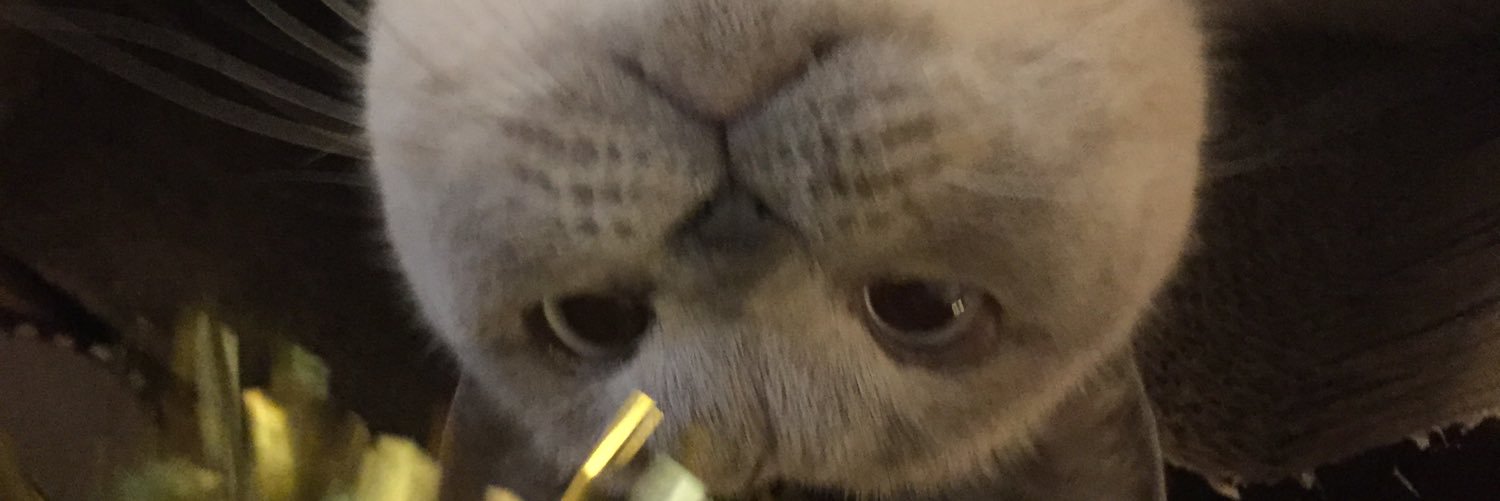 wasabijohn233's profile banner image