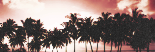 danapokers's profile banner image