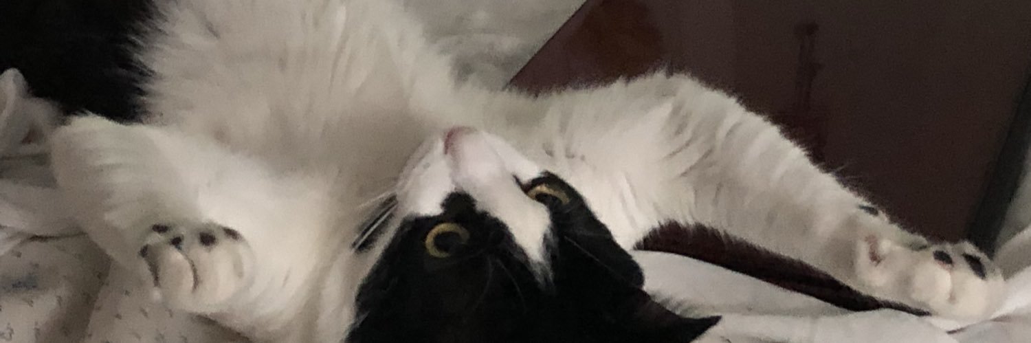 DalexSponge's profile banner image