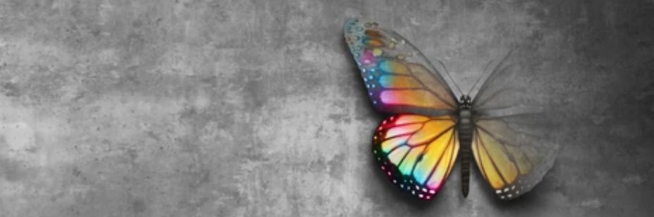 rachel fowler banner