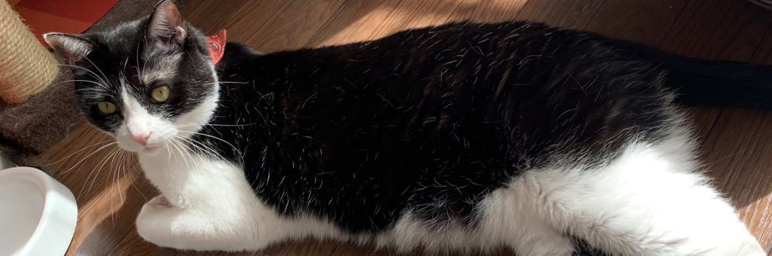 岡山晃久@ banner