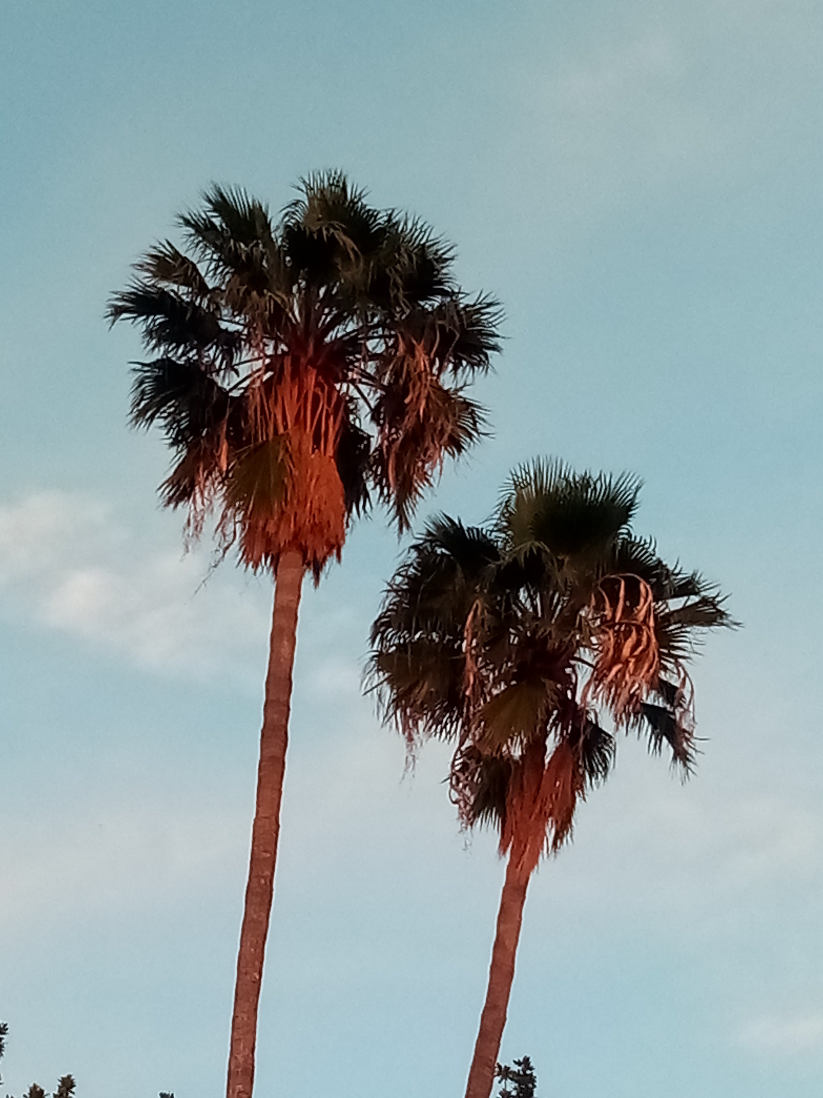 curtis marketti banner