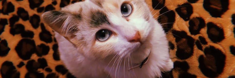 IsaGmez1's profile banner image