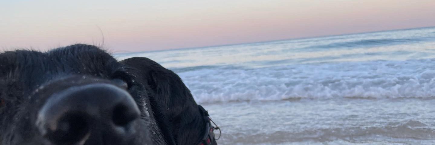 tayyD__'s profile banner image