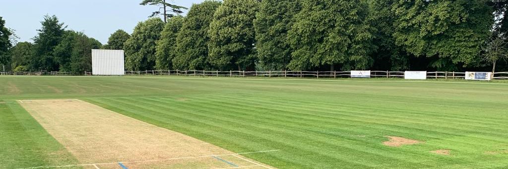 Buxted Park CC banner