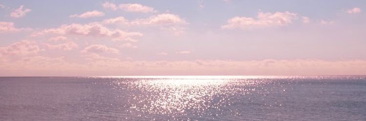 𝑪𝒉𝒐𝒐𝒏 banner