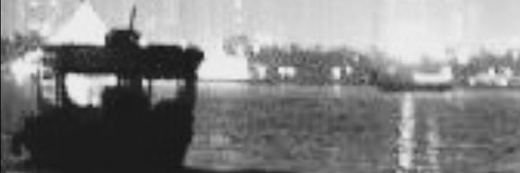saranaer's profile banner image