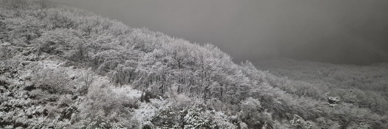 sch3928's profile banner image