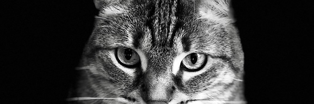 bluepi0j's profile banner image