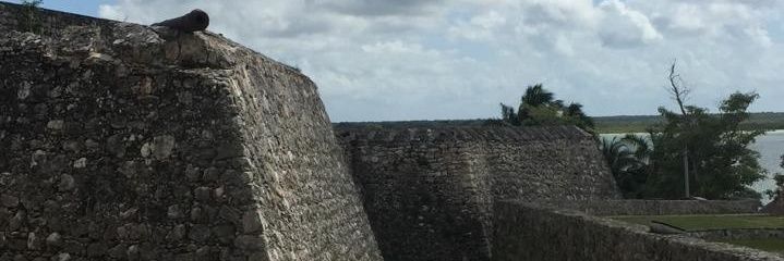 alterr666's profile banner image