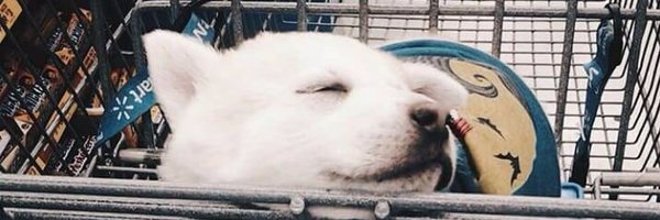 saulandreav Profile Banner