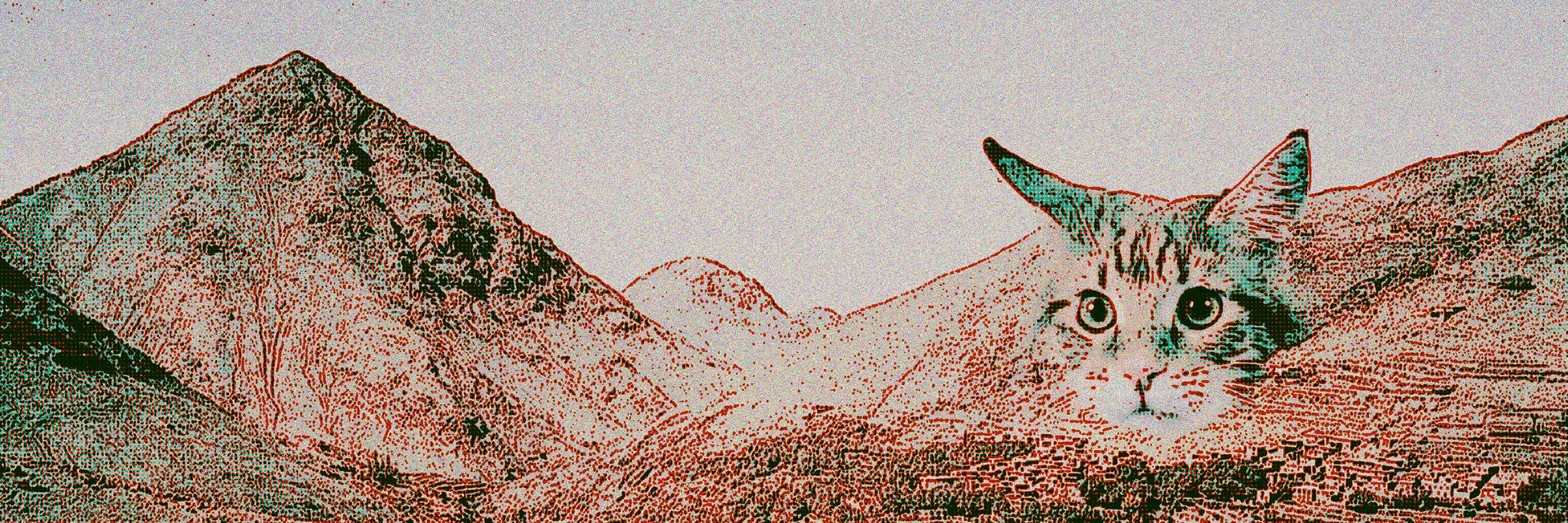 tj_raygun's profile banner image