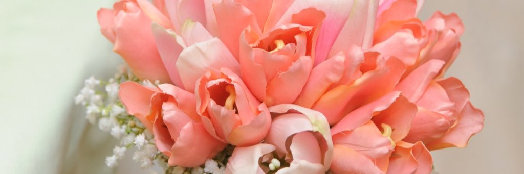 nyaro33's profile banner image