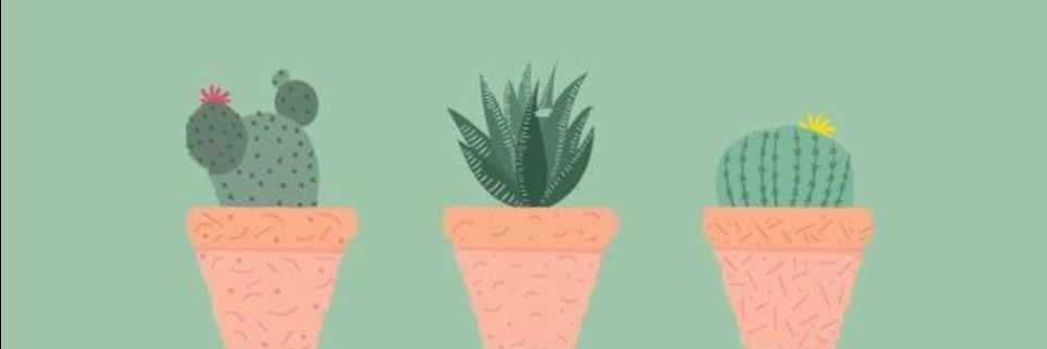 hannahv123's profile banner image