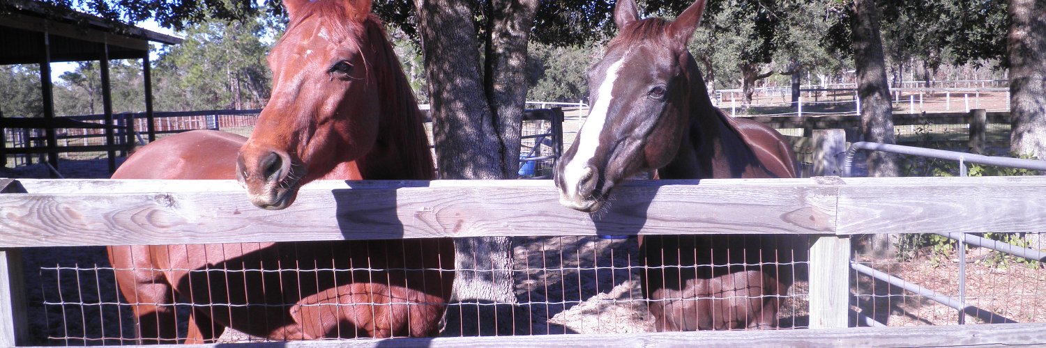 Richard Lewis banner