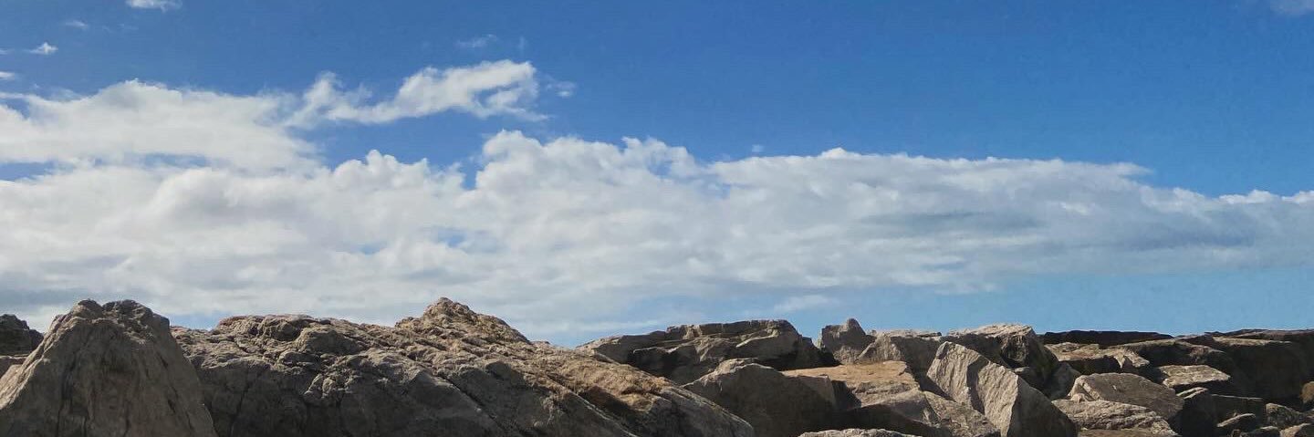 agu_pso's profile banner image