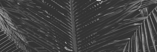 misstrishtobias Profile Banner