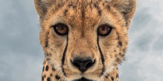 ZishanK's profile banner image