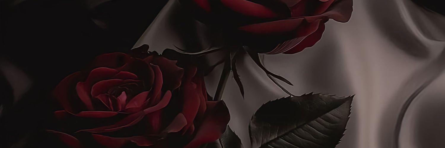 Velieqty banner