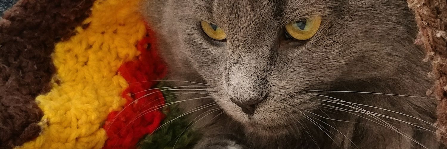 RuffAl21's profile banner image