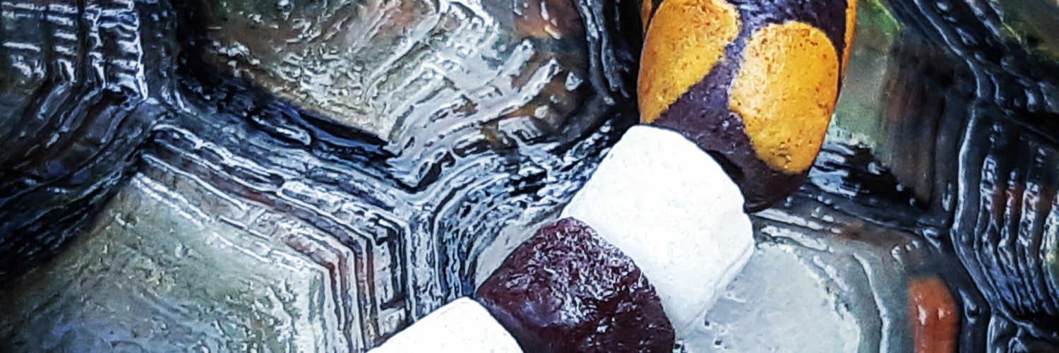 Andersonlsrod's profile banner image