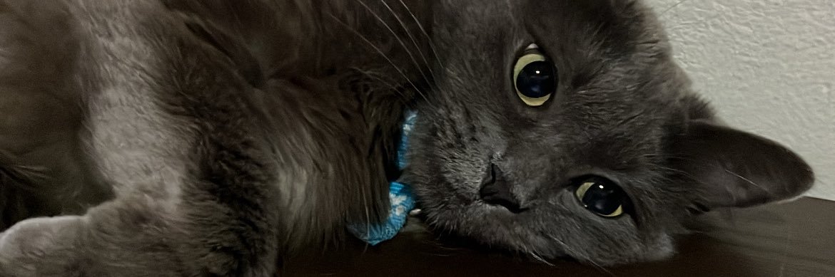 sabrilucer0's profile banner image