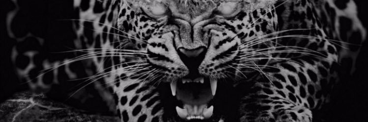 #FlowersSGA🐆 banner