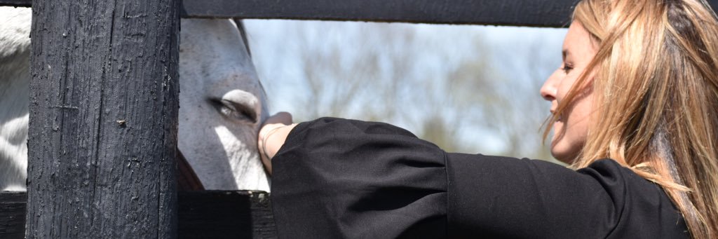 AliKick72's profile banner image