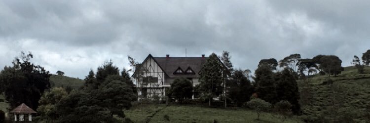 crymonsterr's profile banner image