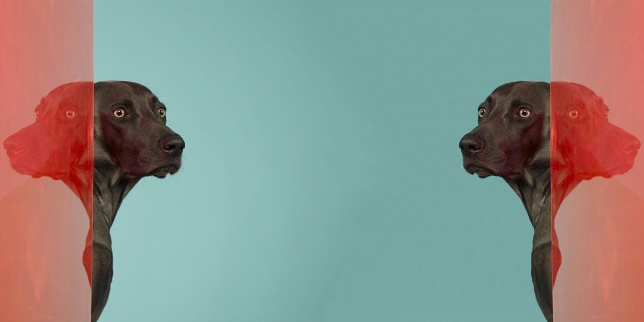 mmmiddelkoop's profile banner image