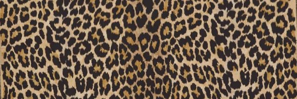 KrystalShephard's profile banner image