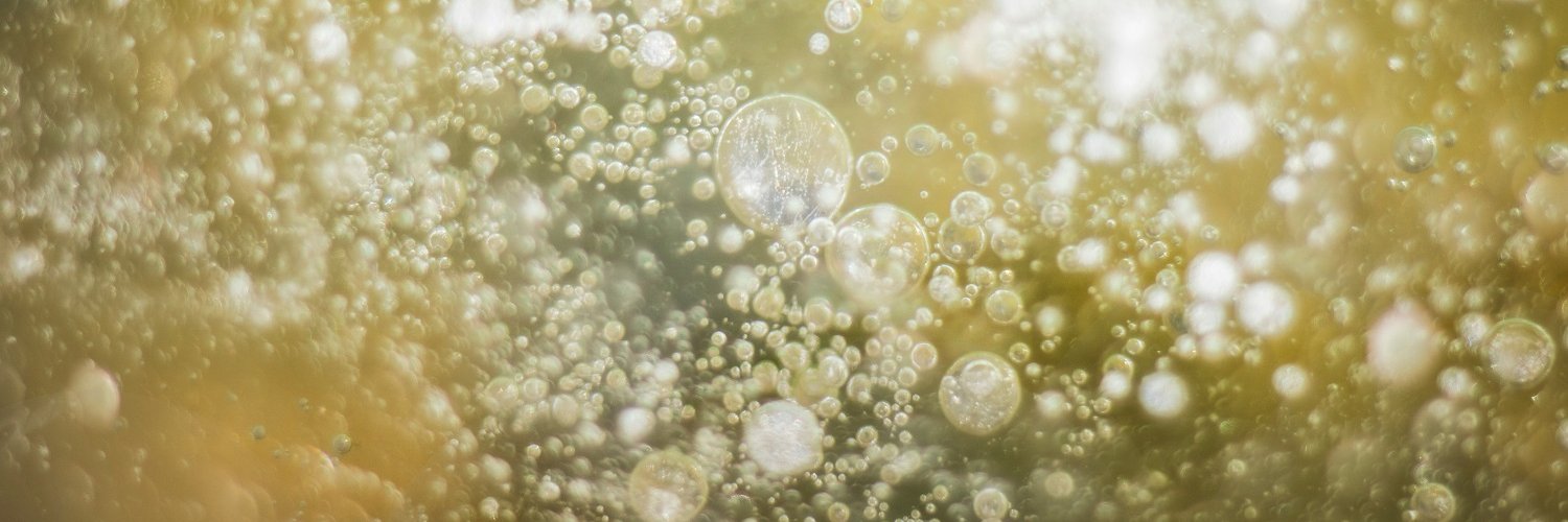 champenoise's profile banner image