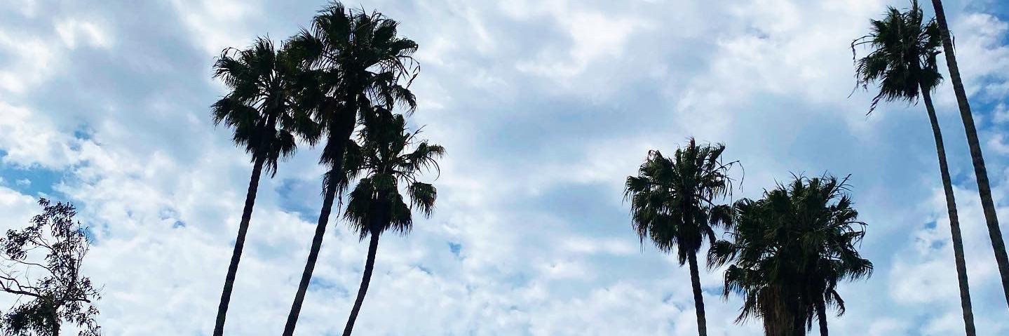 megzzz03's profile banner image