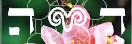 Ami Valladares  🧙‍♂️ banner