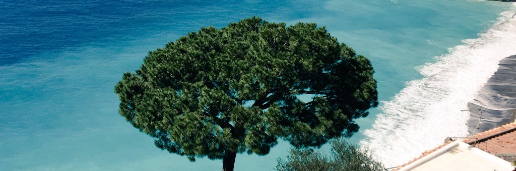 CMiller211's profile banner image