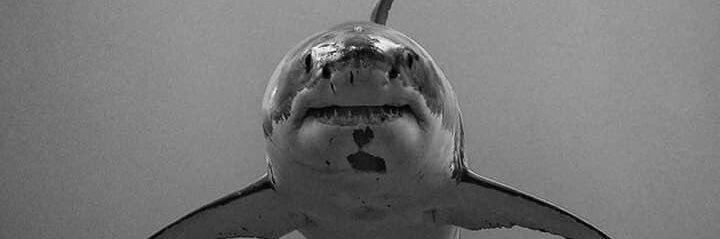 JonathanLucio15's profile banner image