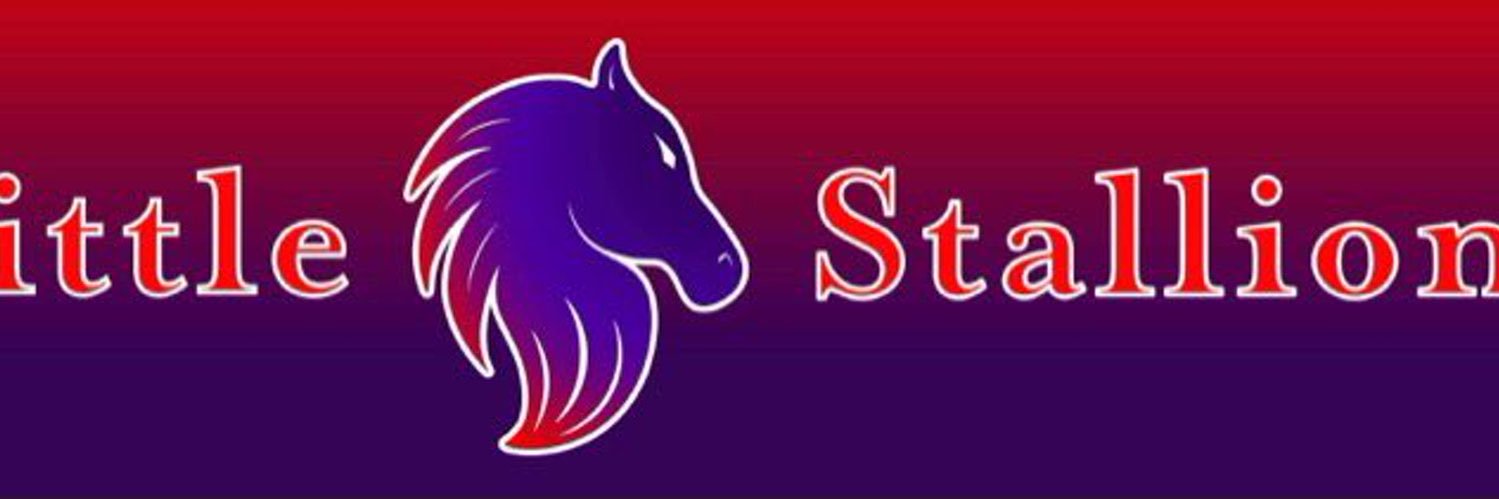 LittleStallionn's profile banner image