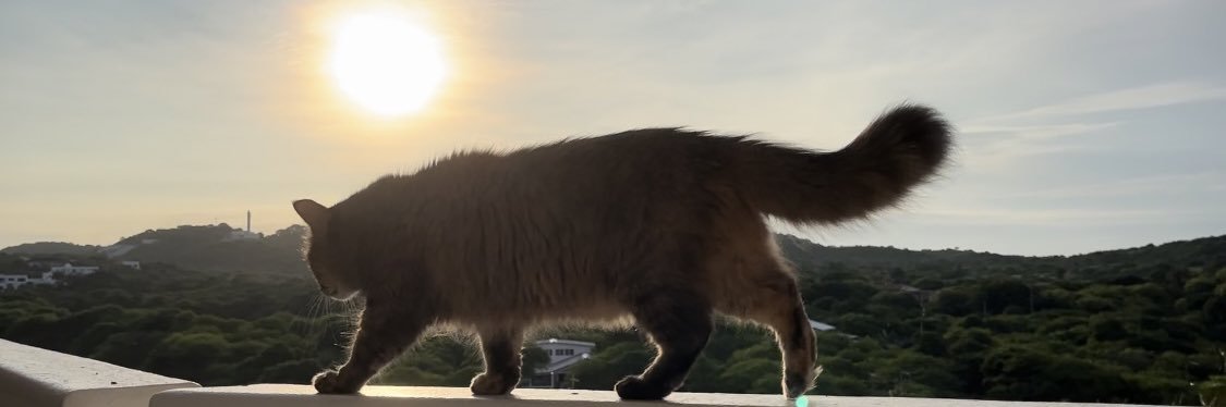 lkatherodriguez's profile banner image