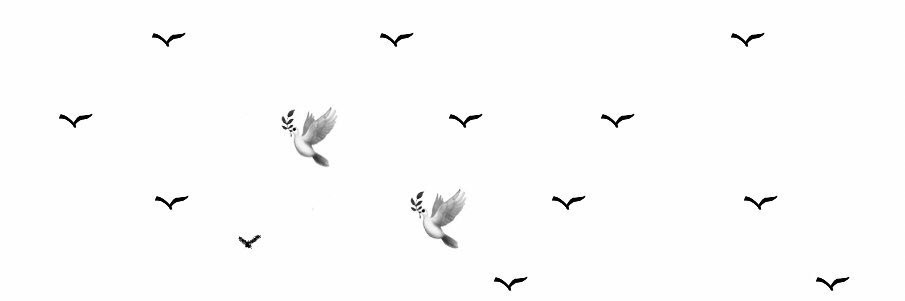 K͜͡ᗩᖇᗴᗴᗰⓂ︎ ρڪَـريۧــ*'s banner