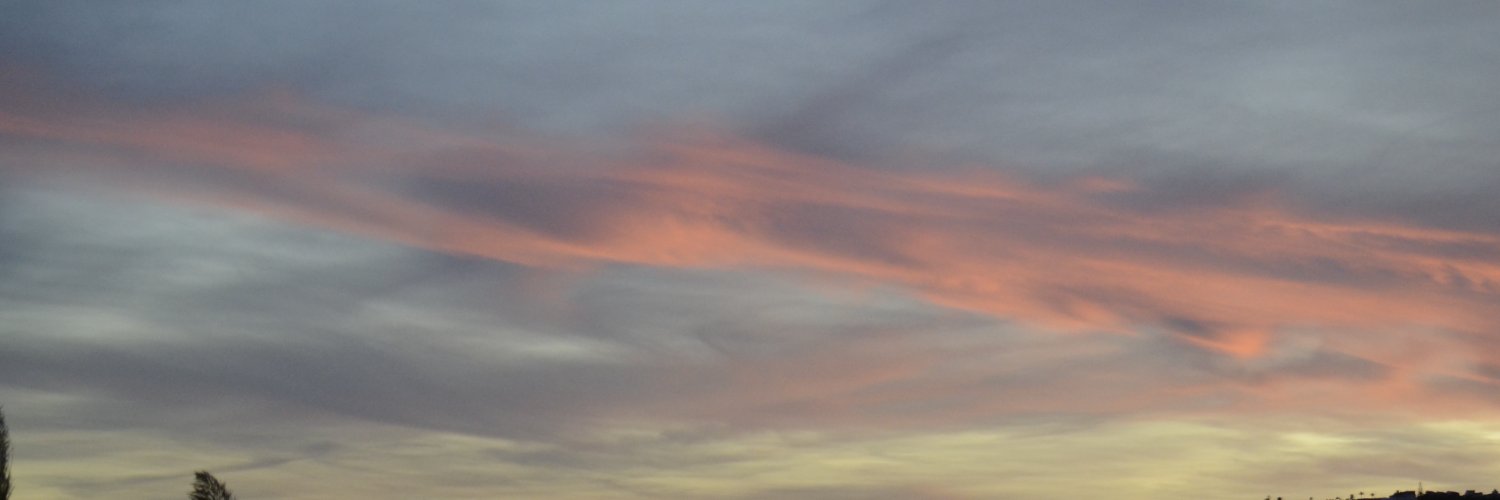 Marta_Rodrigo's profile banner image