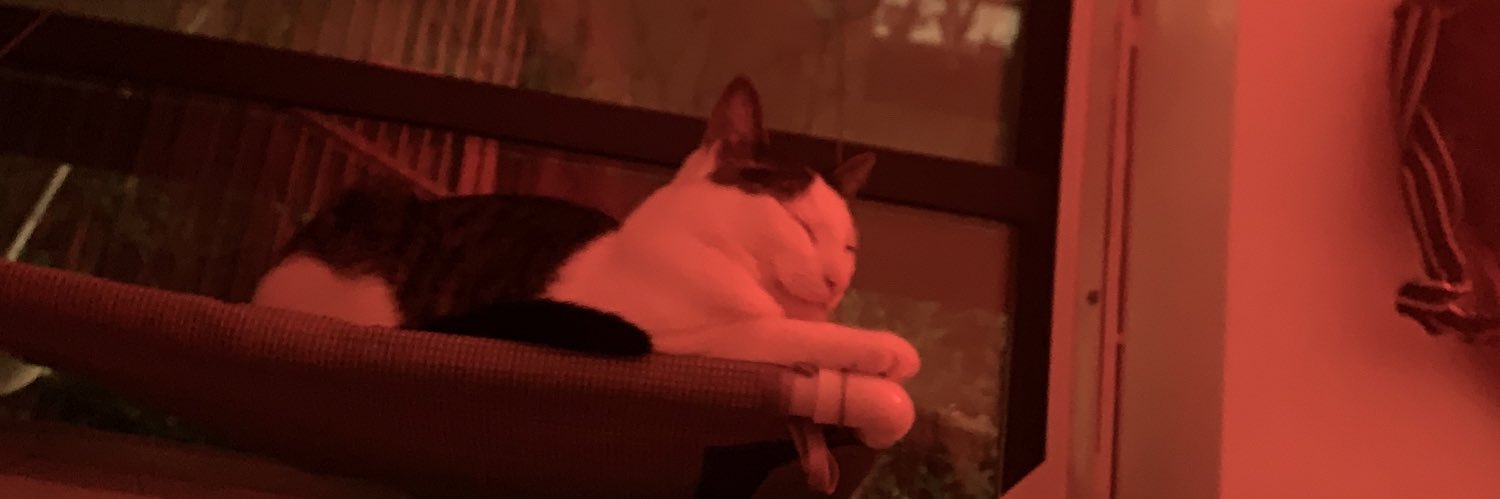taystufff's profile banner image