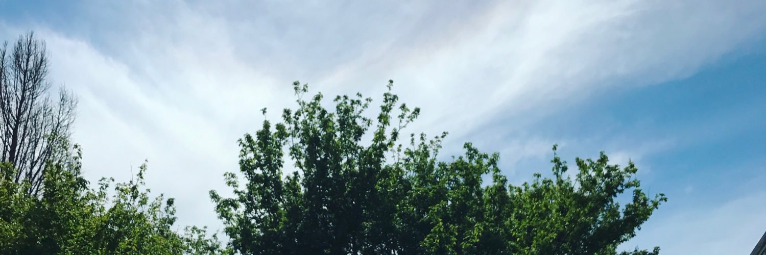 avemaria_____'s profile banner image