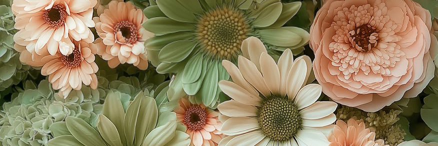 _TooMfShort's profile banner image
